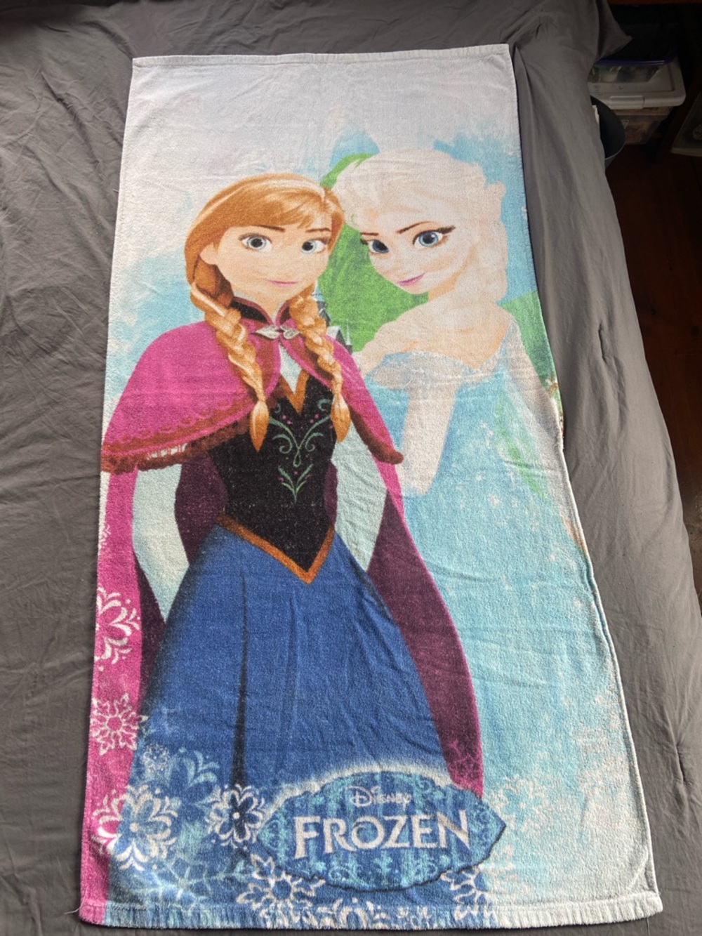 Disney Frozen Anna and Elsa Pink Blue Bath Towel